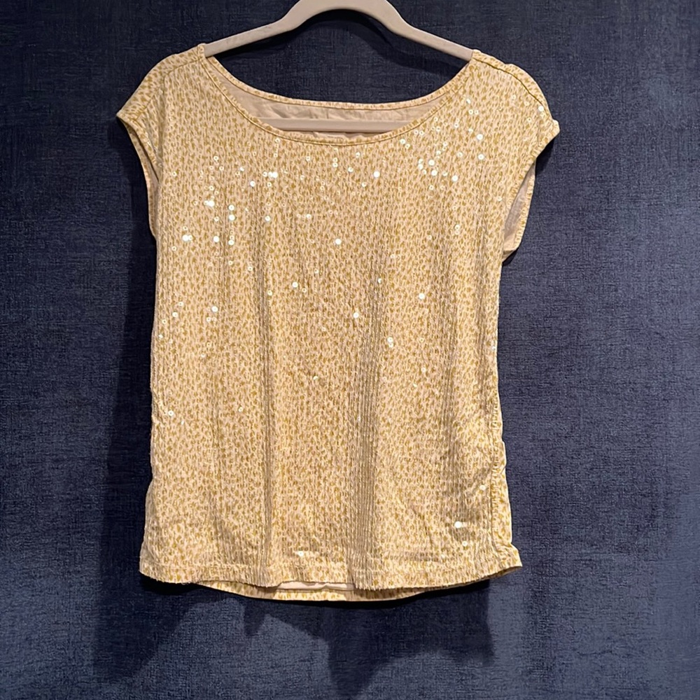 Ann Taylor Loft shirt